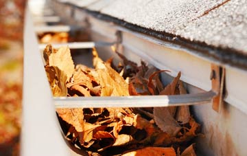 Lower Auchenreath gutter cleaning companies