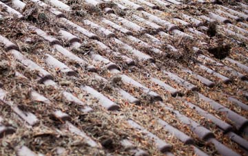 Lower Auchenreath roof cleaning companies