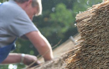 professional Lower Auchenreath thatchers