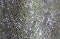 Lower Auchenreath fibreglass roof work