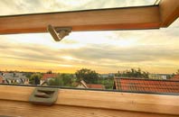 rated Lower Auchenreath roof window companies