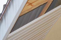 rated Lower Auchenreath soffit repair companies